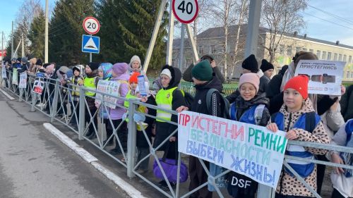 В Новошешминске прошла акция «День памяти жертв ДТП