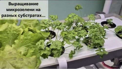 В Зиреклинском лицее успешно работают новые агротехнологические классы