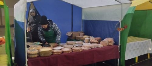 Новошешминцы на очередной ярмарке в Казани