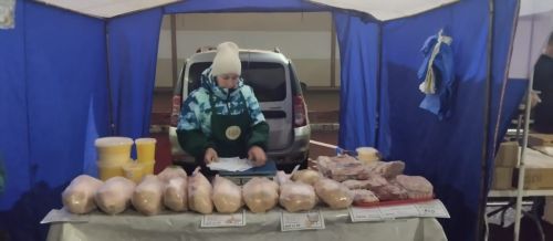 Новошешминцы на очередной ярмарке в Казани