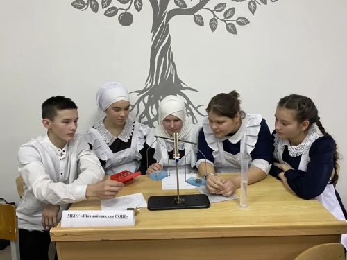 Районные соревнования по физике и математике состоялись на базе Зиреклинского лицея