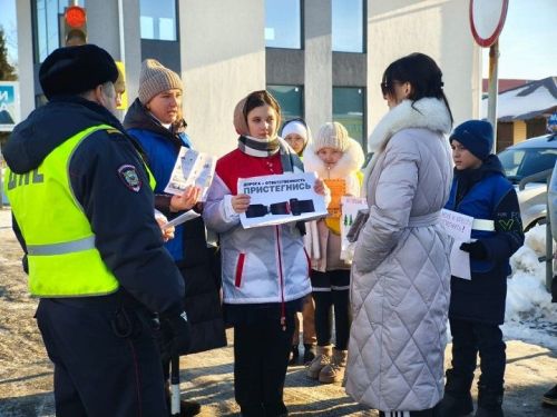 «Безопасные дороги»: Новошешминские автоинспекторы и школьники провели разъяснительную работу