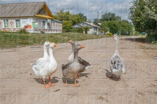 Народные приметы на 30 марта 2025 года: что можно и чего нельзя делать в этот день