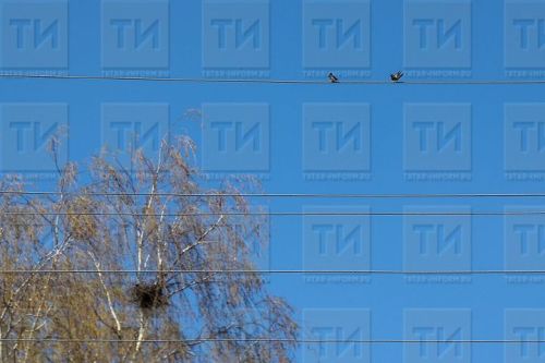 Народные приметы на 7 апреля 2025 года: что можно и чего нельзя делать в этот день