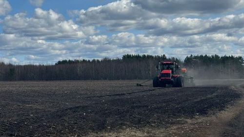 В Республике Татарстан активно ведутся весенние полевые работы
