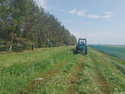 В Акбуре очистили кладбище