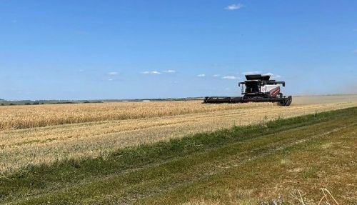 На полях Новошешминского района