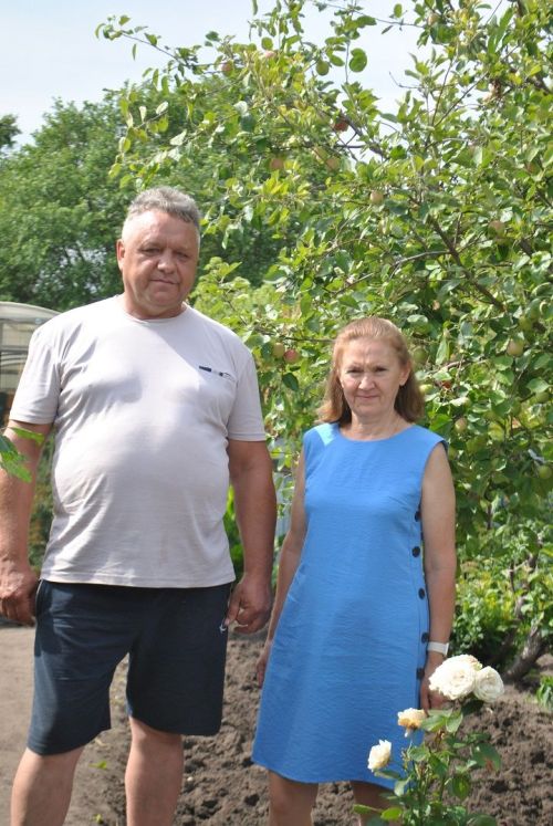 Тамырлар һәм канатлар