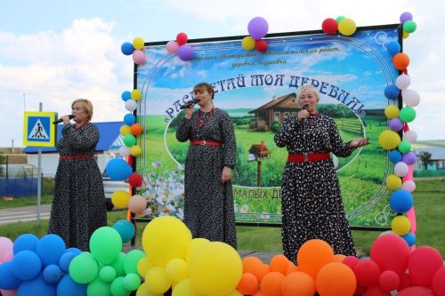 5 июля в Андреевке прошел праздник «Расцветай, моя деревня!» (фоторепортаж)