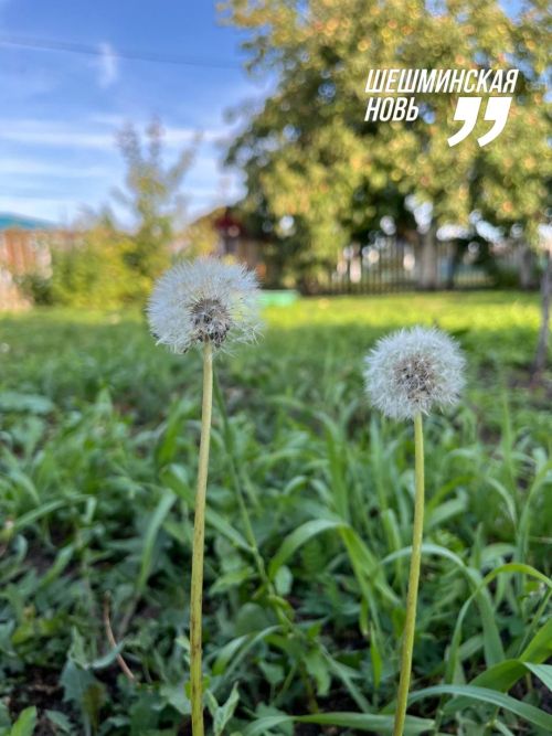 Народные приметы на 17 августа 2025 года: что можно и нельзя делать в этот день