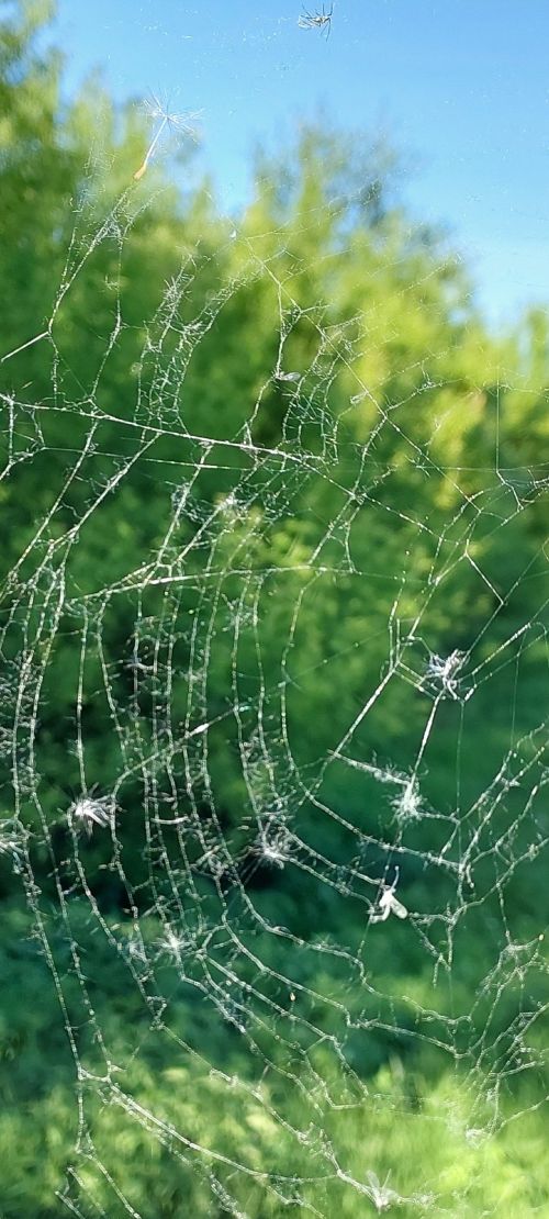 Народные приметы на 7 августа 2025 года: что можно и чего нельзя делать в этот день
