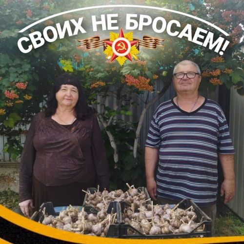 Полезный овощ укрепит здоровье бойцов