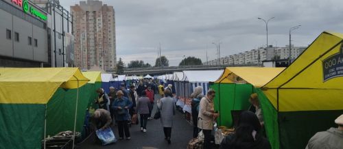 Новошешминцы на первой осенней ярмарке в Казани