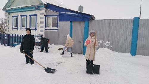 Акция «Снежный десант»: помощь от Совета Первых Петропавловской школы