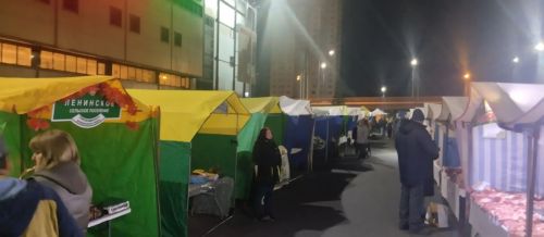 Делегация из Новошешминска в очередной раз приняла участие в казанской ярмарке