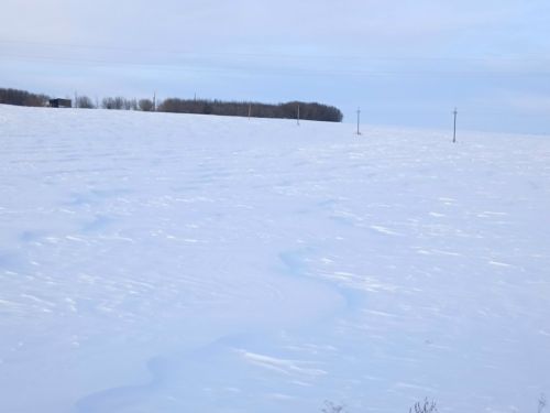 Народные приметы на 16 февраля 2026 года: что можно и чего нельзя делать в этот день