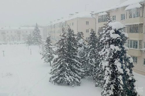 Школы, детсады и вузы Казани перейдут на дистанционное обучение из-за непогоды 17 февраля