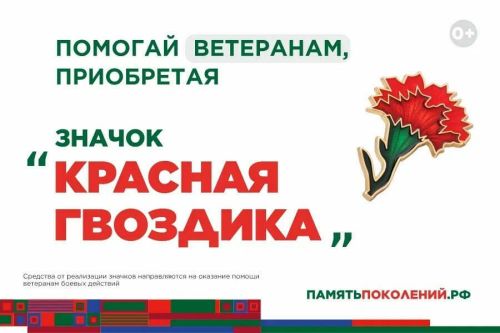 «Красная гвоздика» в Татарстане 2026: как купить значок и помочь ветерану