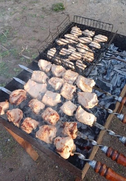 Как выбрать идеальное мясо для шашлыка: советы по свинине, говядине и курице