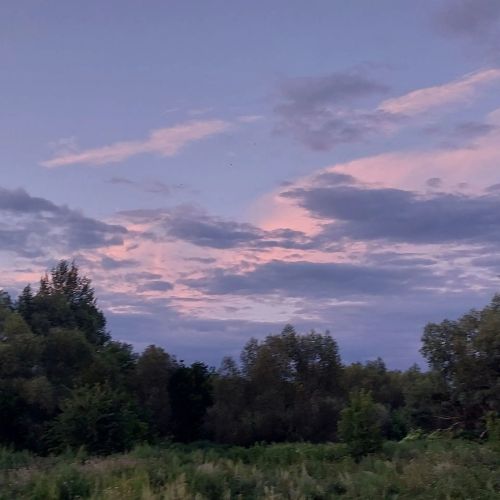 Народные приметы рассказывают о традициях, запретах и важных делах на день Авдотьи 17 августа 2026 года