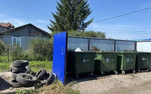 Шины — не в кусты!
