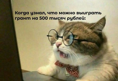 Молодых жителей Татарстана приглашают к участию в Конкурсе грантов ПФО