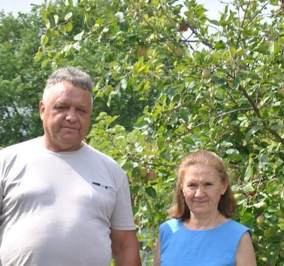 Тамырлар һәм канатлар