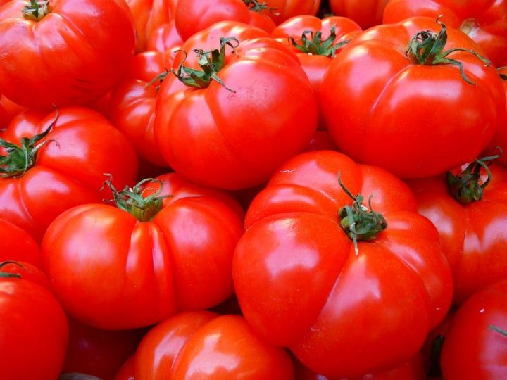 Как сохранить помидоры свежими до пяти месяцев