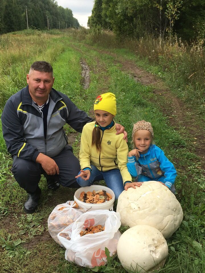 В одном из районов Татарстана выросли гигантские шестикилограммовые грибы
