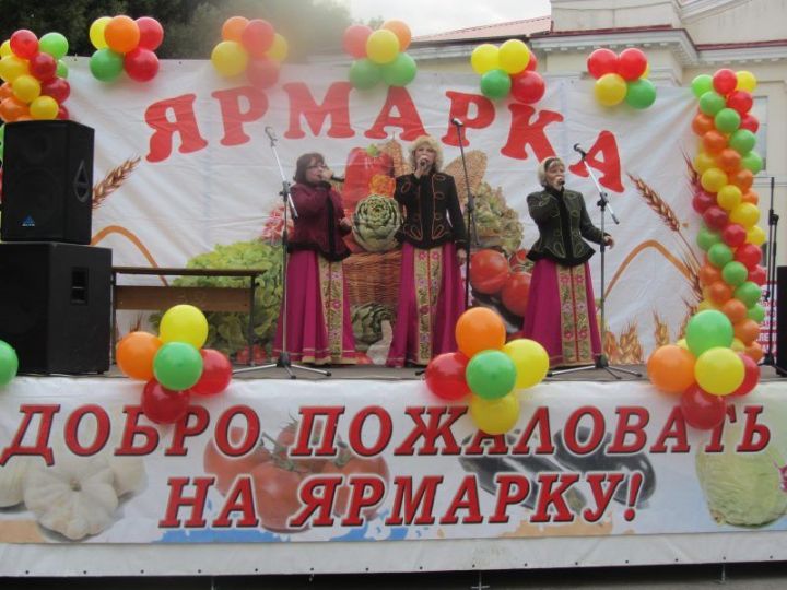 22 сентября Новошешминский район участвовал в первой осенней ярмарке в Казани
