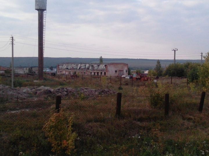 Ряд зиреклинских фермеров Новошешминского района забросили свои поля