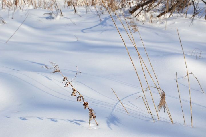 Синоптики прогнозируют потепление в Татарстане с 12 января