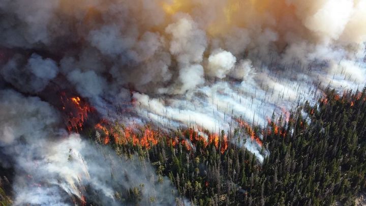 Площадь лесных пожаров в Сибири достигла 2,5 миллиона гектаров