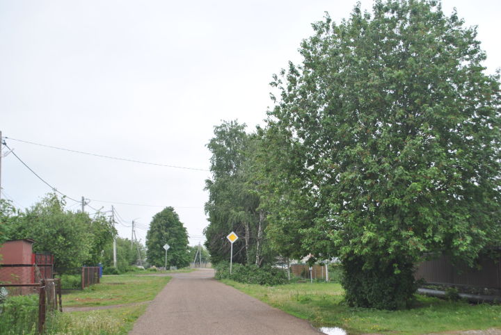 17 августа в Новошешминске переменная облачность, без осадков