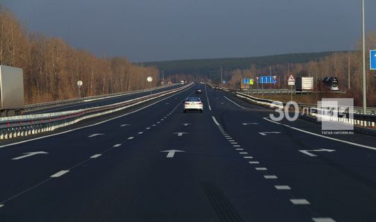 При строительстве автотрассы М12 будут предусмотрены  лесозащита и объекты экологической инженерии