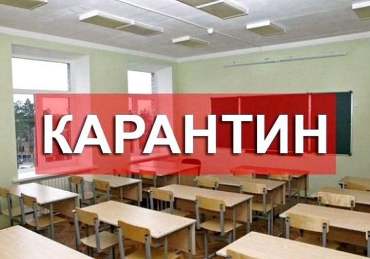 На карантин закрыты пять классов в трех школах Новошешминска