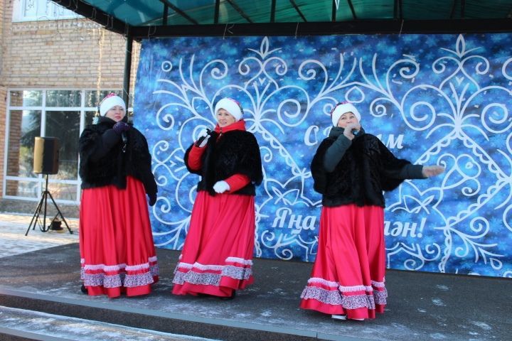 25 декабря в Новошешминске прошло мероприятие, посвященное закрытию Года родных языков и народного единства