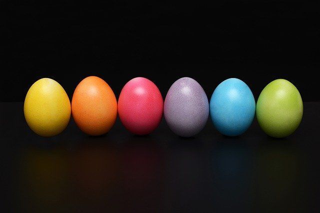 Куриный секрет — почему одни яйца белые, а другие коричневые