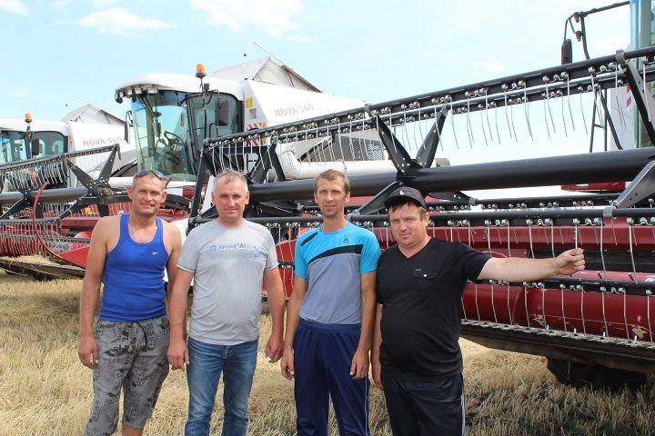 Аграрии Новошешминского района ведут уборку зерновых культур