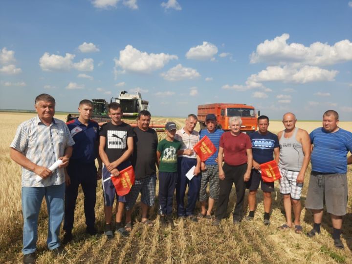 Определены первые победители на уборке урожая в Новошешминском районе