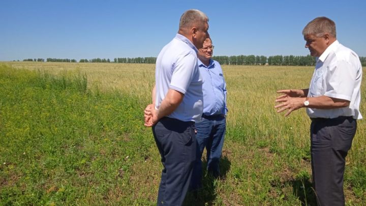 Глава района Вячеслав Козлов проверил  состояние водозаборов в селе Новошешминск