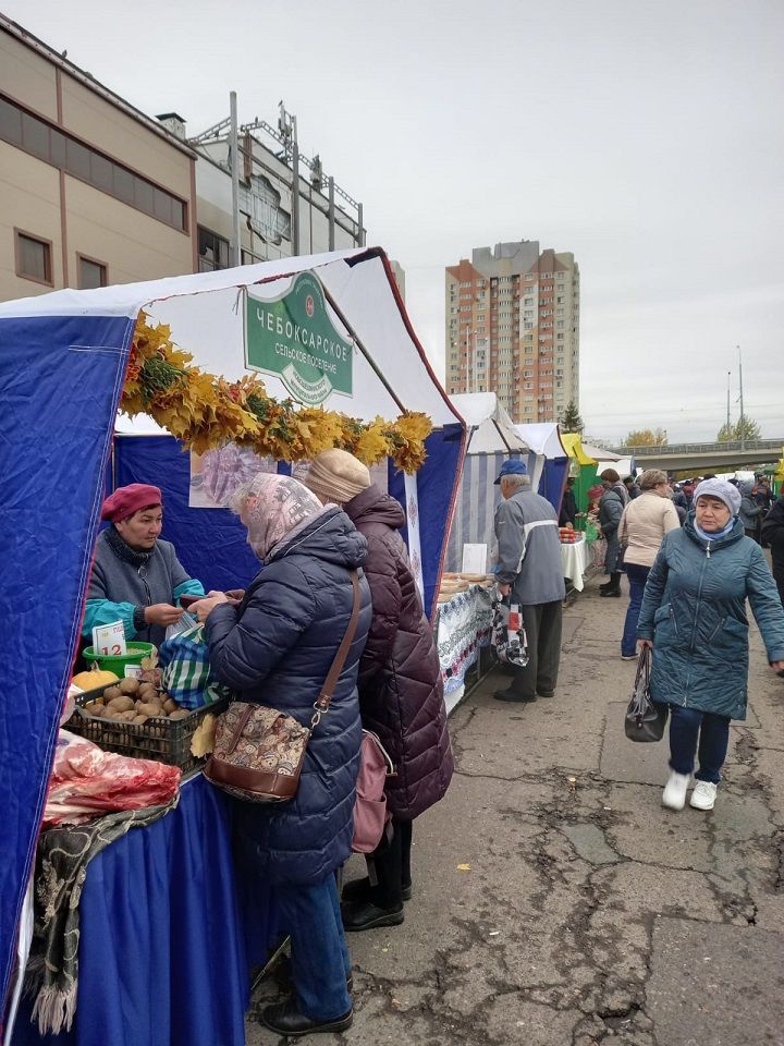 Выручка на ярмарке в Казани – более 500 тыс. рублей