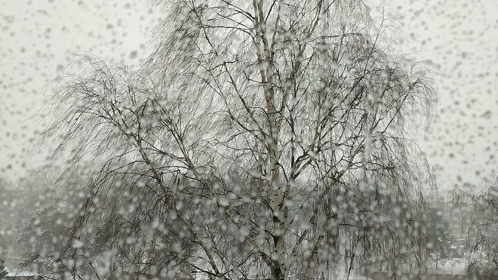 За три дня в Татарстане выпадет половина месячной нормы осадков