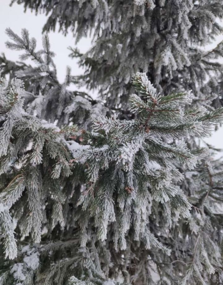 Мороз и небольшой снег прогнозируются в Татарстане 21 декабря