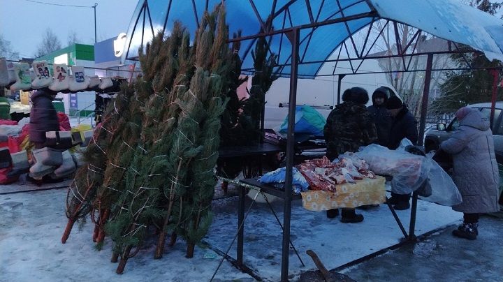 24 декабря в Новошешминске прошла предпраздничная ярмарка (фоторепортаж)