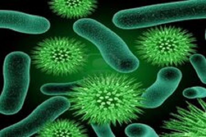 В Новошешминском районе выявлено еще 22 новых случая коронавируса