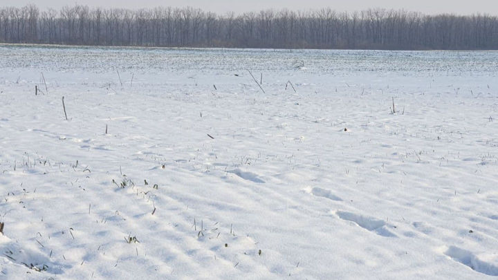 В Татарстане высота снежного покрова на полях отдельных районов превысила норму в два раза