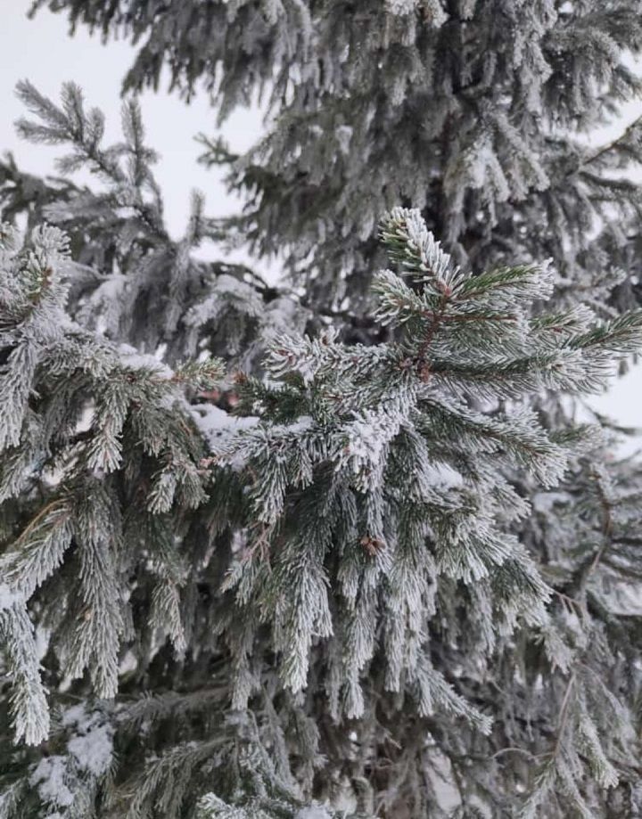 В Татарстане ожидается до 20 градусов мороза и умеренный ветер