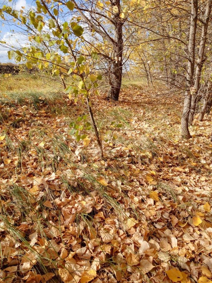 Народные приметы сегодня, 24 октября 2023 года: что можно и нельзя делать в этот день