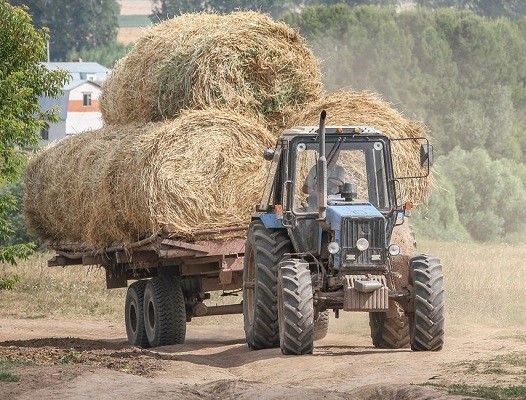 Продолжается выплата за земельные паи